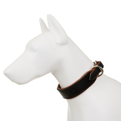 Barry King Obroża Skóra Łoś Strong 40mm/55cm koniak