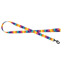Barry King Smycz dla psa taśma Tęcza 25mm/120cm