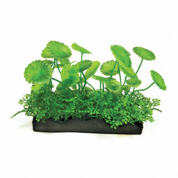 Aqua Natura Roślina do dekoracji akwarium zielona plastikowa 10cm liście w kształcie dysków