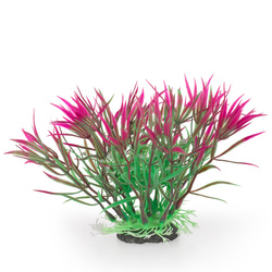 Aqua Natura Roślina do dekoracji akwarium fioletowa plastikowa 12cm kwiat w kształcie tulipana szpiczasty