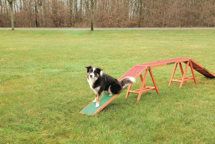 Trixie Fun Agility kładka zręcznościowa 456×64×30cm