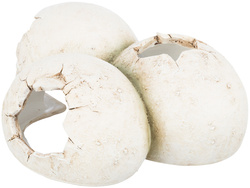 Trixie Jaja kryjówka do terrarium żywica poliestrowa 15x6x12cm