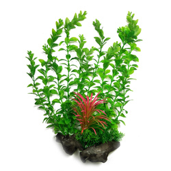 Aqua Natura Roślina do dekoracji akwarium zielona plastikowa 38cm chlorella z czerwonym akcentem
