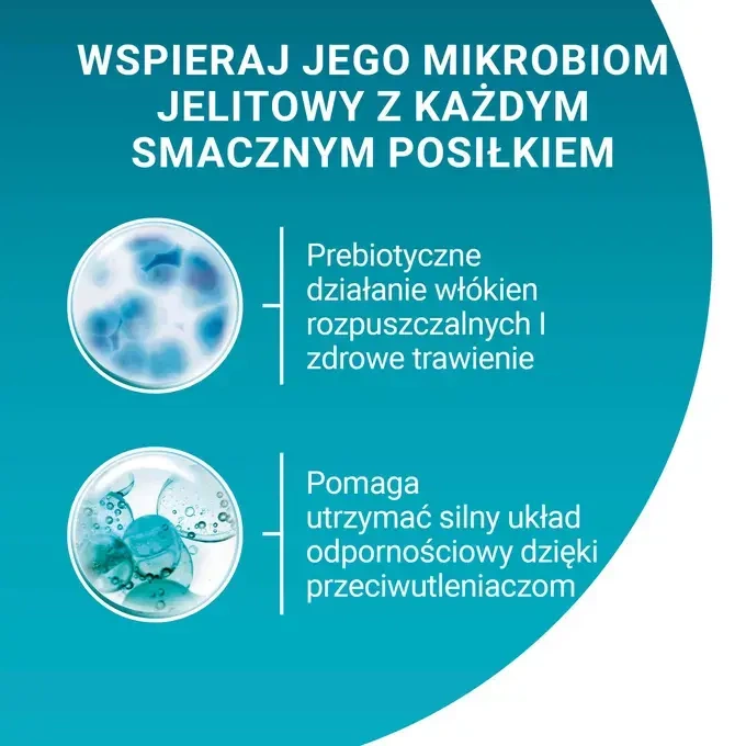 Purina ONE Indoor Mokra karma z cielęciną i tuńczykiem 4x85g