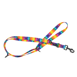 Barry King Smycz regulowana taśma dla psa Tęcza 20mm/220cm