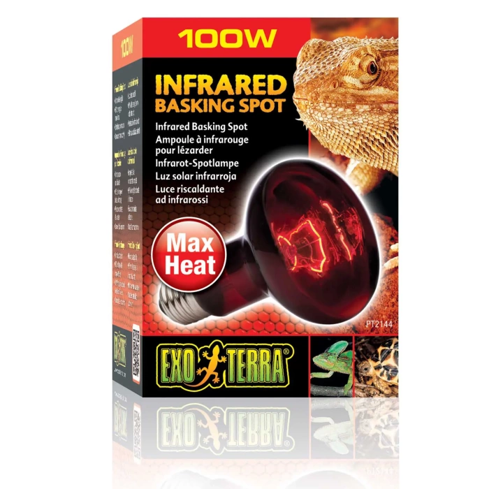 ExoTerra Żarówka Infrared Basking Spot R25/100W