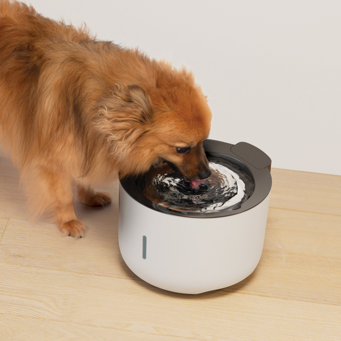 Zeus Oasis Fountain fontanna dla psa jasnoszara 3l 24x17 cm USB