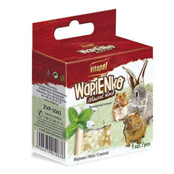 Vitapol kostka wapienna dla gryzoni z miętą 40g