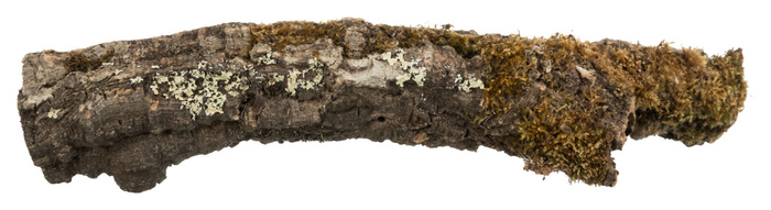 Trixie Tunel korkowy XS-S: 5–10 cm / 5–20 cm 10szt/op