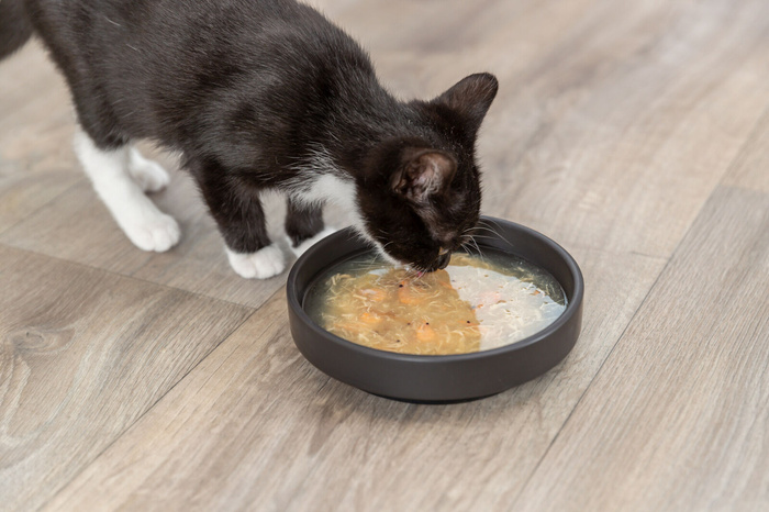 Trixie Salmon Soup przysmak zupa dla kota kurczak i łosoś 80g