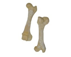 VECTOR-FOOD KOŚĆ WIEPRZOWA BIAŁA 10szt.