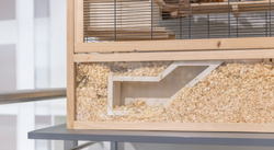 Trixie Tunel do obserwacji dla gryzoni drewno 36x17cm