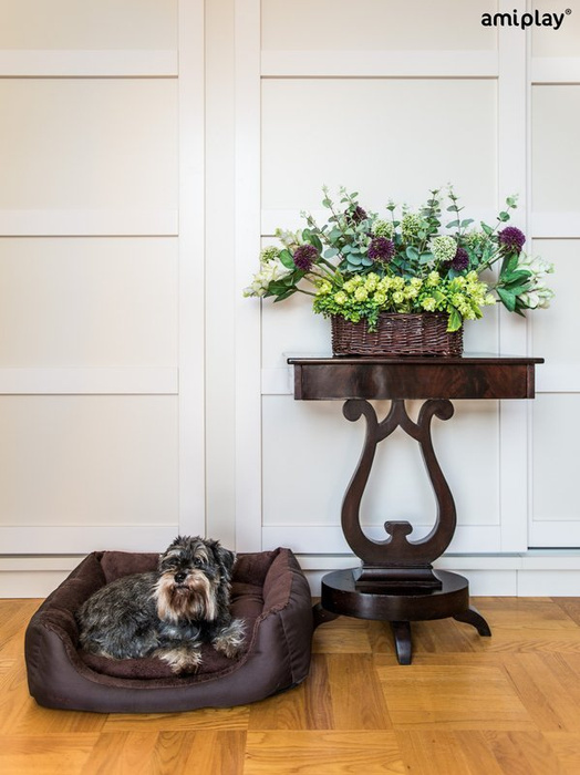 amiplay Sofa Aspen XS dla psa