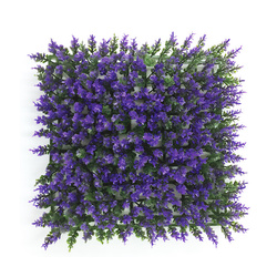 Aqua Natura Morski Dywan Lawenda 25x25cm