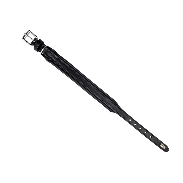 Barry King Obroża skórzana XS: 27-33cm x 22mm czarny przeszywana