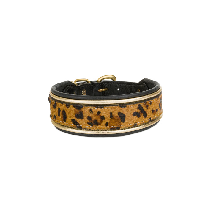 Barry King Obroża skórzana 37-44 cm/34 mm pantera