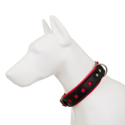 Barry King Obroża Skóra Łoś Strong Koła 50mm/65cm czerwony