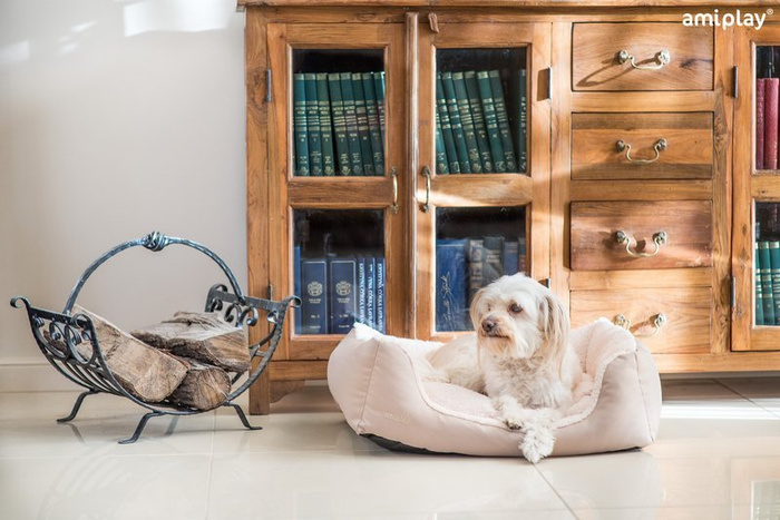 amiplay Sofa Aspen XS dla psa