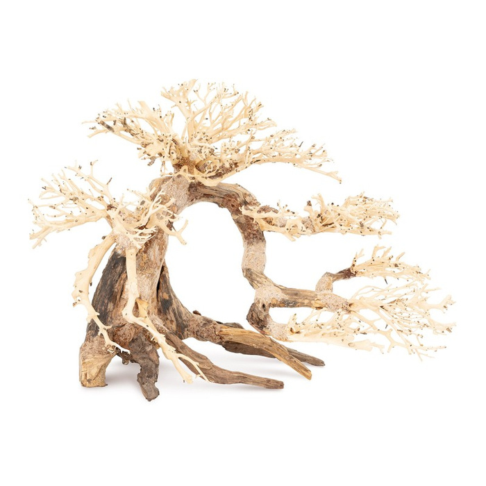 TerraNatura Tonące drzewo Bonsai nr 63 60x40