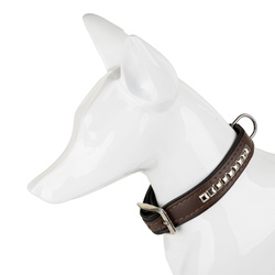 Barry King Obroża dla psa wzór kostki 25mm/56cm brązowa