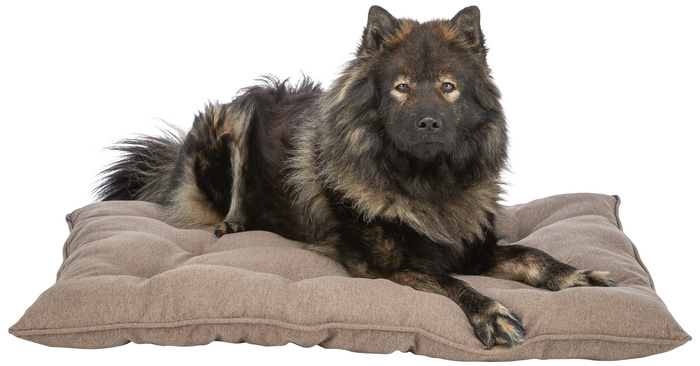 Trixie Caliente poduszka dla psa/kota brązowa 96x70cm