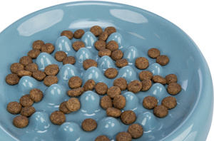 Trixie Miska Slow feed biała ceramiczna 0,25l/18cm spowalniająca jedzenie