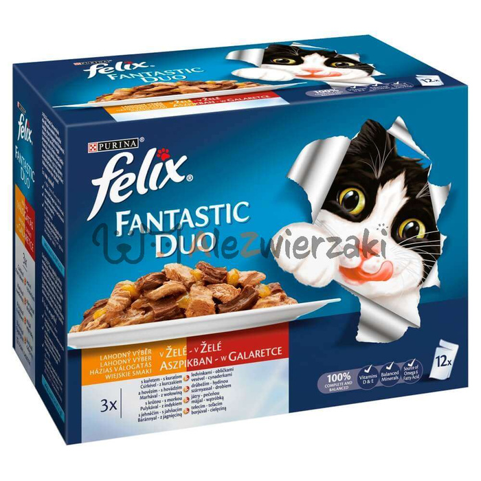 Felix Fantastic Duo Wiejskie Smaki 12x85g