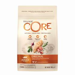 Wellness Core k.sucha d.kota indyk/kurcz. 300g