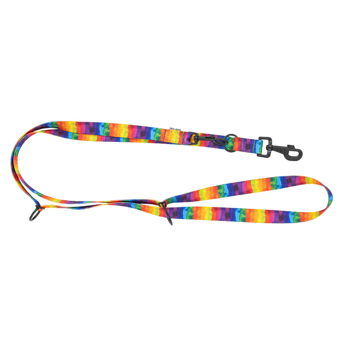 Barry King Smycz regulowana taśma dla psa Tęcza 16mm/220cm