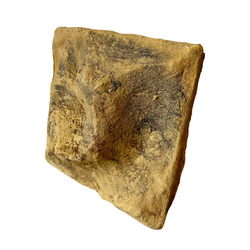 ATG Tło do terrarium 20x20cm