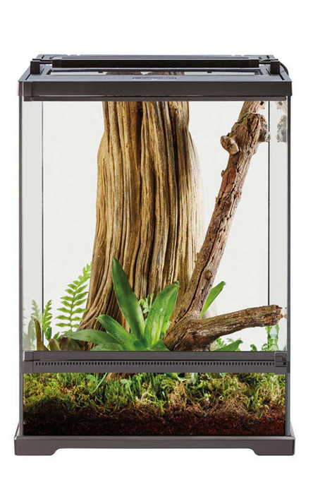 ExoTerra Dart Frog Terrarium dla żab L 45 x 45 x 60cm