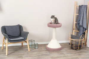 Trixie Viviana drapak dla kota różowy 80cm