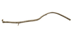 Terra Natura Korzeń Rattanowy 20-40 cm
