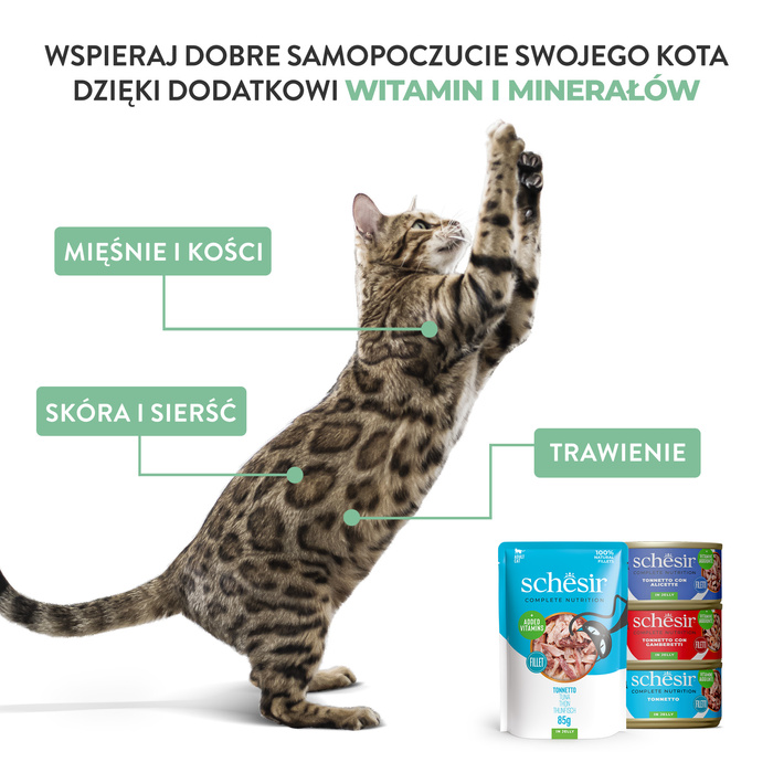 Schesir C&B Karma mokra dla kotów tuńczyk z sardynkami w galarecie 140g puszka