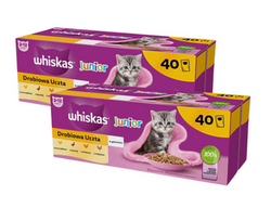 Whiskas Junior Drobiowa Uczta w galaretce dla kociąt 80x85g