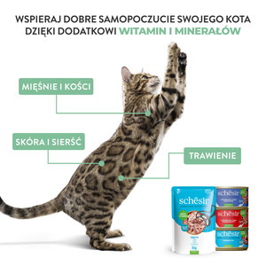 Schesir C&B Karma mokra dla kotów tuńczyk z sardynkami w galarecie 140g puszka