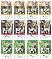 Vet Expert Raw Paleo Sterilised Mix Smaków 12x100g