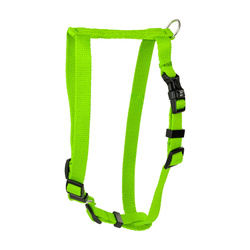 Barry King Szelki Classic limonka S-M 16mm/40-65cm