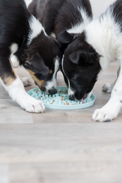 Trixie Junior licking plate taca na smakołyki dla psów 21cm
