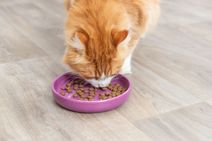 Trixie Miska XXL ceramiczna 0,35l/18cm