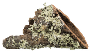 Trixie Tunel korkowy XS-S: 5–10 cm / 5–20 cm 10szt/op