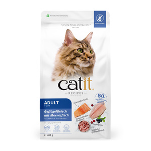 Catit Recipies Adult Fish karma sucha dla kotów dorosłych drób i ryba 400g