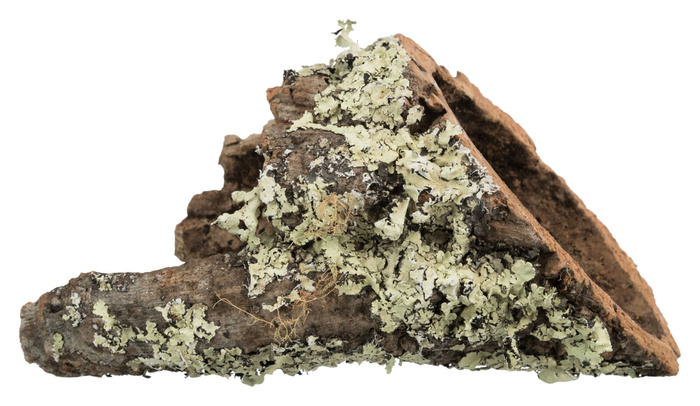 Trixie Tunel korkowy XS-S: 5–10 cm / 5–20 cm 10szt/op