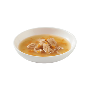 Schesir Soup karma mokra dla kotów zupa łosoś z marchewką 40g saszetka