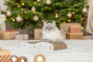 Trixie Xmas Świąteczny Drapak Kartonowy Fala z Kocimiętką 43,5x8x20cm