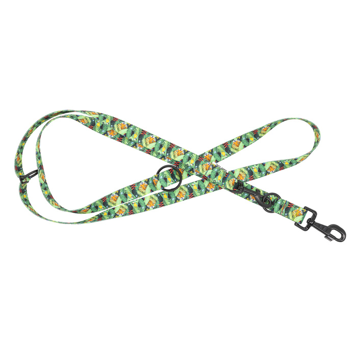 Barry King Smycz regulowana taśma dla psa Tropical 20mm/220cm
