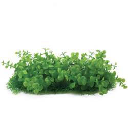 Aqua Natura Roślina do dekoracji akwarium zielona plastikowa 10cm doniczka korytkowa gęste bardzo drobne liście