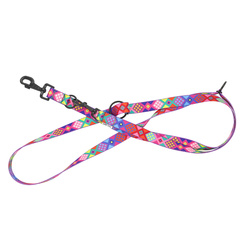 Barry King Smycz regulowana taśma dla psa Peru 25mm/220cm