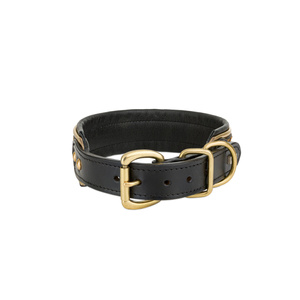 Barry King Obroża skórzana 37-44 cm/34 mm pantera