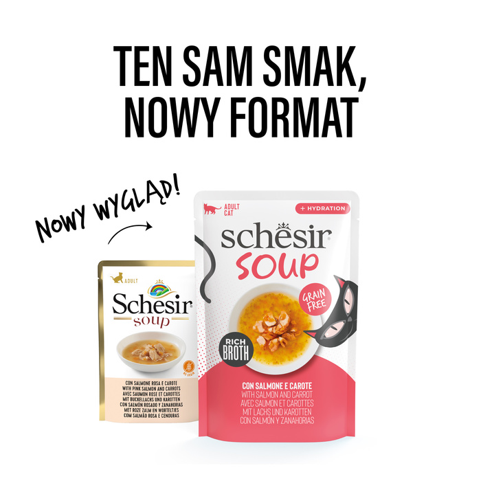 Schesir Soup karma mokra dla kotów zupa łosoś z marchewką 40g saszetka